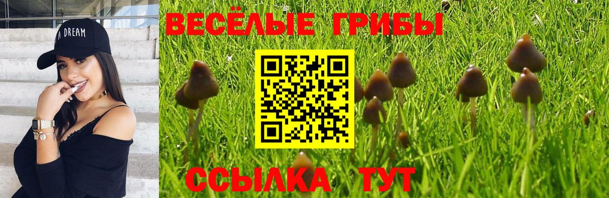 Псилоцибиновые грибы Psilocybe  Вход с VPN  Псилоцибиновые грибы GOLDEN TEACHER  купить наркотик  Валуйки 