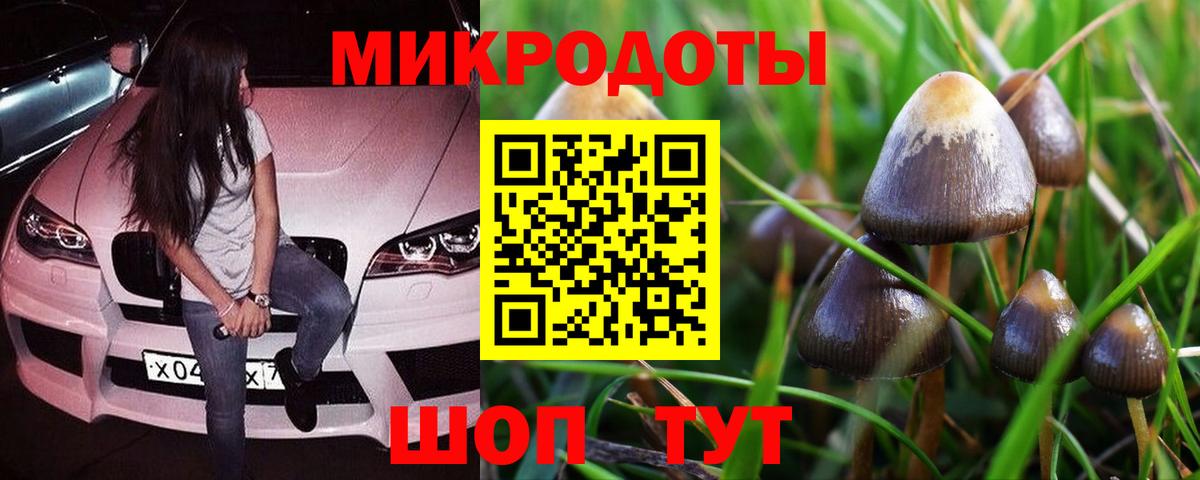 Галлюциногенные грибы MAGIC MUSHROOMS Валуйки